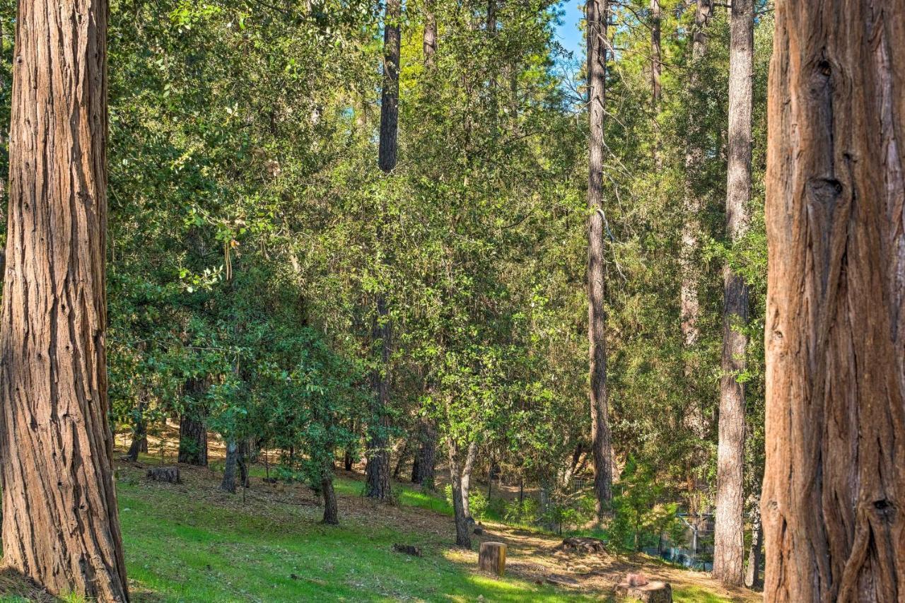 Convenient Apt With Fire Pit About Half-Mi To Lake! Groveland Bagian luar foto